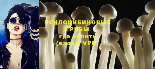 стаф Липки