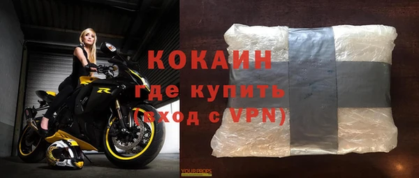стаф Липки