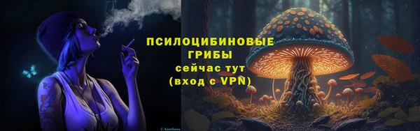 молекула духа Лиски