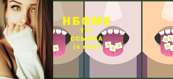 стаф Липки