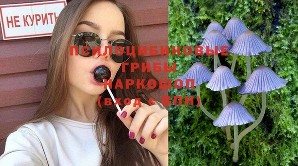 молекула духа Лиски