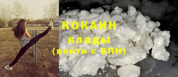 стаф Липки